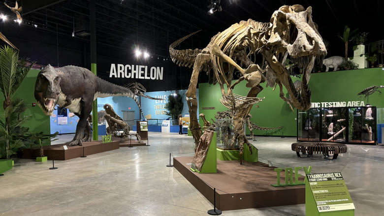 See historic carriages at the Studebaker National Museum, Take a scenic stroll on the East Bank Trail, See fossils and bison at the Indiana Dinosaur Museum, Ice skate at Howard Park, Catch a show at the baroque Morris Performing Arts Center, Methodology