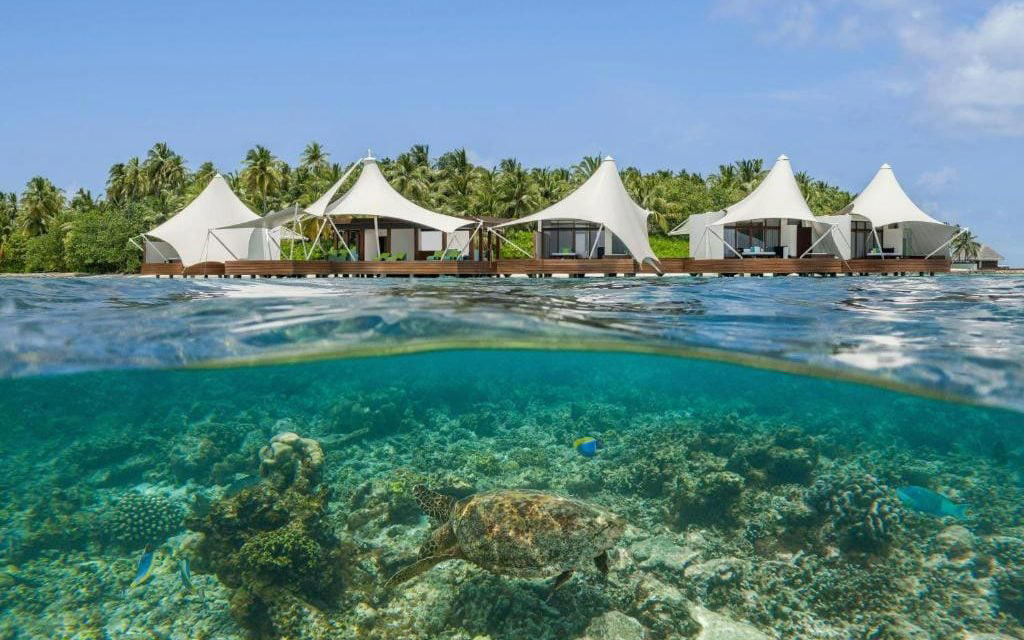 The best of the best, Soneva Fushi, The barefoot luxury OG, Waldorf Astoria Ithaafushi, Style and substance, Kudadoo Maldives Private Island, The ultimate all-inclusive, Milaidhoo, Laid-back luxury, Cool and caring, Worth the splurge, Conrad Rangali Island, Underwater haven, Six Senses Laamu, Turtle-tastic, The St Regis Vommuli Resort, On point, Cheval Blanc Randheli, (Too) quiet luxury, Great – but some niggles, COMO Maalifushi, Heavenly house reef, Alila Kothaifaru, Sea of stars, Joali Being, Wellness wonder, W Maldives, Party above and below, Patina, Fari Islands, Design darling, Should do better, Jawakara, Island idyll, The Residence at Dhigurah, Edge of the earth location, The Ritz-Carlton Maldives, Fari Islands, Sterling service, Gili Lankanfushi, Eco-luxury