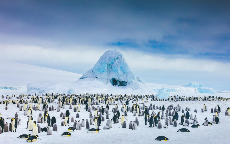 In this guide:, Before you book, Where can I go?, When can I go?, How long should I go for?, What types of cruises are available?, Who to cruise with?, Ports and sights, Where will I depart from?, What will I see?, About our expert, Sara Macefield