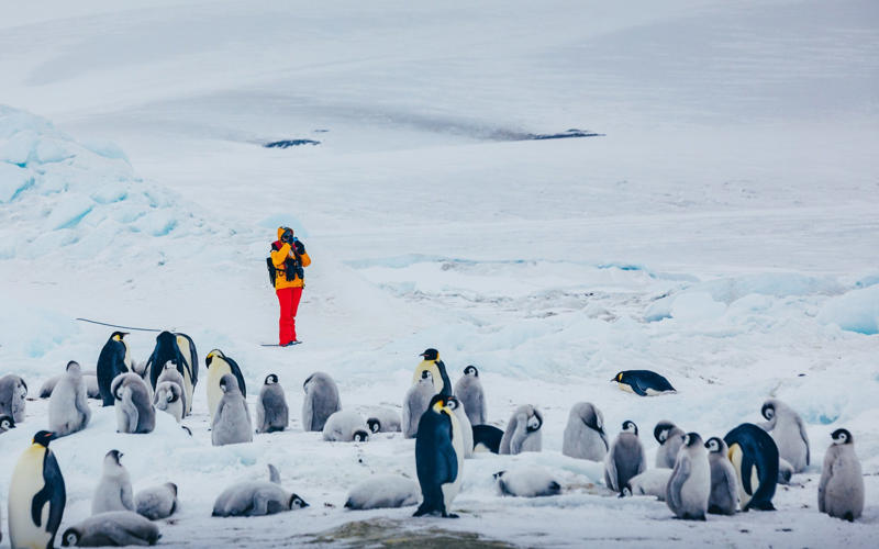 In this guide:, Before you book, Where can I go?, When can I go?, How long should I go for?, What types of cruises are available?, Who to cruise with?, Ports and sights, Where will I depart from?, What will I see?, About our expert, Sara Macefield