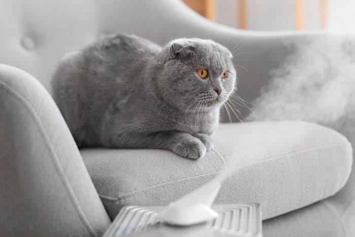 猫に触れると静電気が起きる理由, 化学繊維との相性, 静電気発生を防ぐ対策術, 1.部屋の湿度を上げる, 2.撫でる前に手を湿らせる, 3.ブラッシングに一工夫する, 4.布製品の素材を見直す, 5.「いきなり指先」で触れない