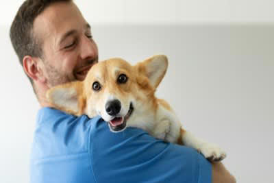 犬からの「愛情度」を知る5つの方法, 1.じっと見つめてくる, 2.お尻をくっつけてくる, 3.お気に入りのおもちゃを持ってくる, 4.あくびがうつる, 5.帰宅時に全力で喜ぶ, あなたの愛犬はどれくらい？愛情度チェック項目, 犬に好かれる人に共通する特徴