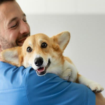犬からの「愛情度」を知る5つの方法, 1.じっと見つめてくる, 2.お尻をくっつけてくる, 3.お気に入りのおもちゃを持ってくる, 4.あくびがうつる, 5.帰宅時に全力で喜ぶ, あなたの愛犬はどれくらい？愛情度チェック項目, 犬に好かれる人に共通する特徴