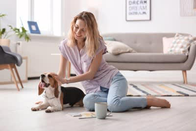 犬からの「愛情度」を知る5つの方法, 1.じっと見つめてくる, 2.お尻をくっつけてくる, 3.お気に入りのおもちゃを持ってくる, 4.あくびがうつる, 5.帰宅時に全力で喜ぶ, あなたの愛犬はどれくらい？愛情度チェック項目, 犬に好かれる人に共通する特徴