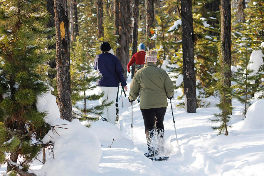 ‘Les Misérables’, Metro Parks Outdoor Adventures, ReelAbilities Film Festival Columbus presents: The Art of Film Shorts, ‘Come From Away’, Columbus Fury vs Orlando Valkyries, Diana Krall, Wonderball 2026, 5th Line 5K