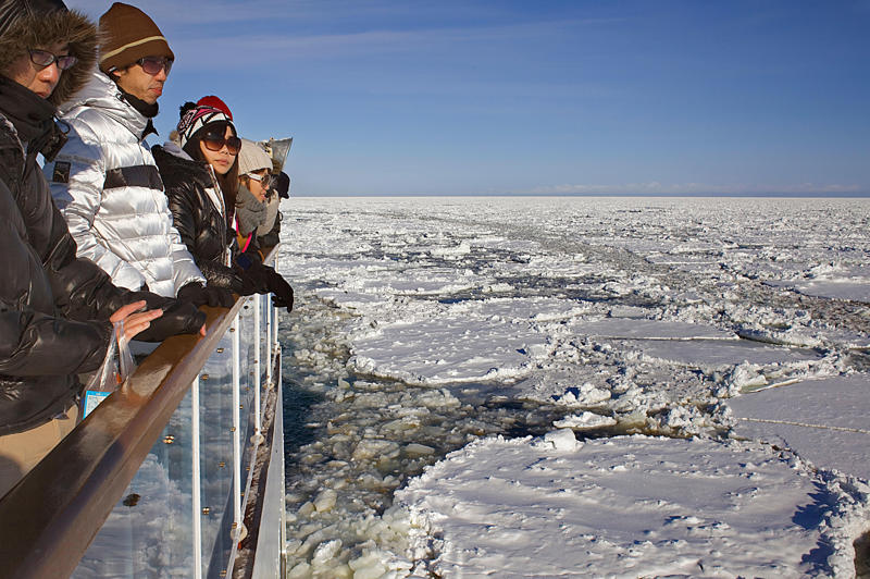 Broadening appeal, Nostalgia, The hot (and cold) spots, Cruise and stays, Early booking, A spotlight on sustainability