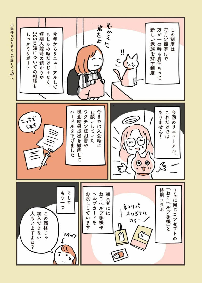 どこで出会えるか？, どういう仕組み？, 所有権放棄で保健所に持ち込まれる猫たち…, 高齢者への認知度アップが課題, 猫問題の根幹には人の問題がある