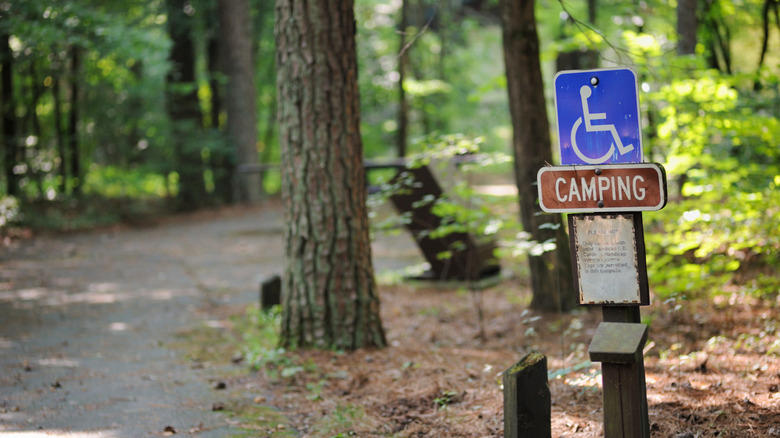 The Best Riverfront Campsite: Premium Campsite 174, The Best Forested Campsite: South Camp (Campsite 10), The Best Campsite near the Big Sur River Gorge: Premium Campsite 116, The Best Accessible Campsite: Campsite 147, The Best Campsite for Hikers: Premium Campsite 175, Methodology