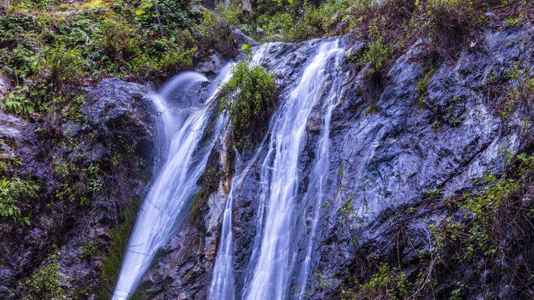 The Best Riverfront Campsite: Premium Campsite 174, The Best Forested Campsite: South Camp (Campsite 10), The Best Campsite near the Big Sur River Gorge: Premium Campsite 116, The Best Accessible Campsite: Campsite 147, The Best Campsite for Hikers: Premium Campsite 175, Methodology