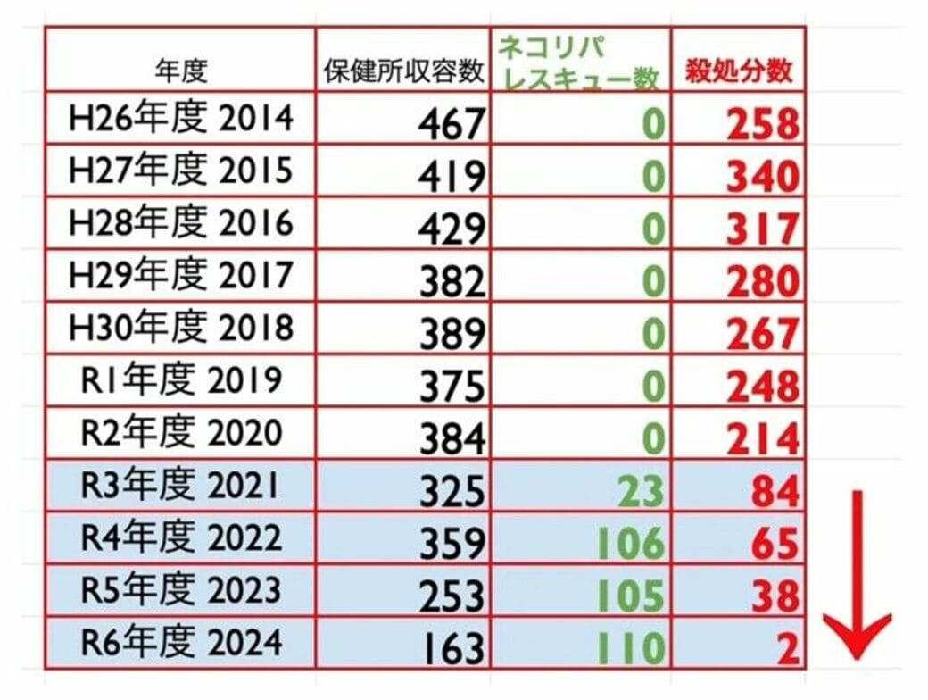 どこで出会えるか？, どういう仕組み？, 所有権放棄で保健所に持ち込まれる猫たち…, 高齢者への認知度アップが課題, 猫問題の根幹には人の問題がある