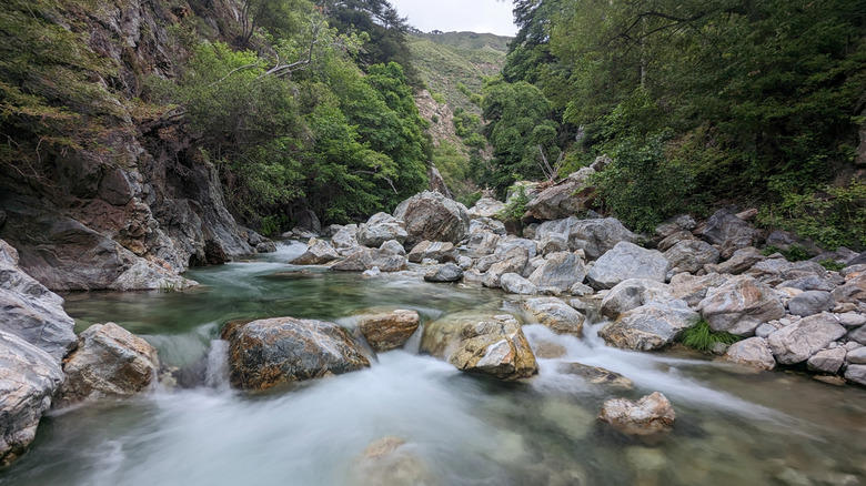 The Best Riverfront Campsite: Premium Campsite 174, The Best Forested Campsite: South Camp (Campsite 10), The Best Campsite near the Big Sur River Gorge: Premium Campsite 116, The Best Accessible Campsite: Campsite 147, The Best Campsite for Hikers: Premium Campsite 175, Methodology