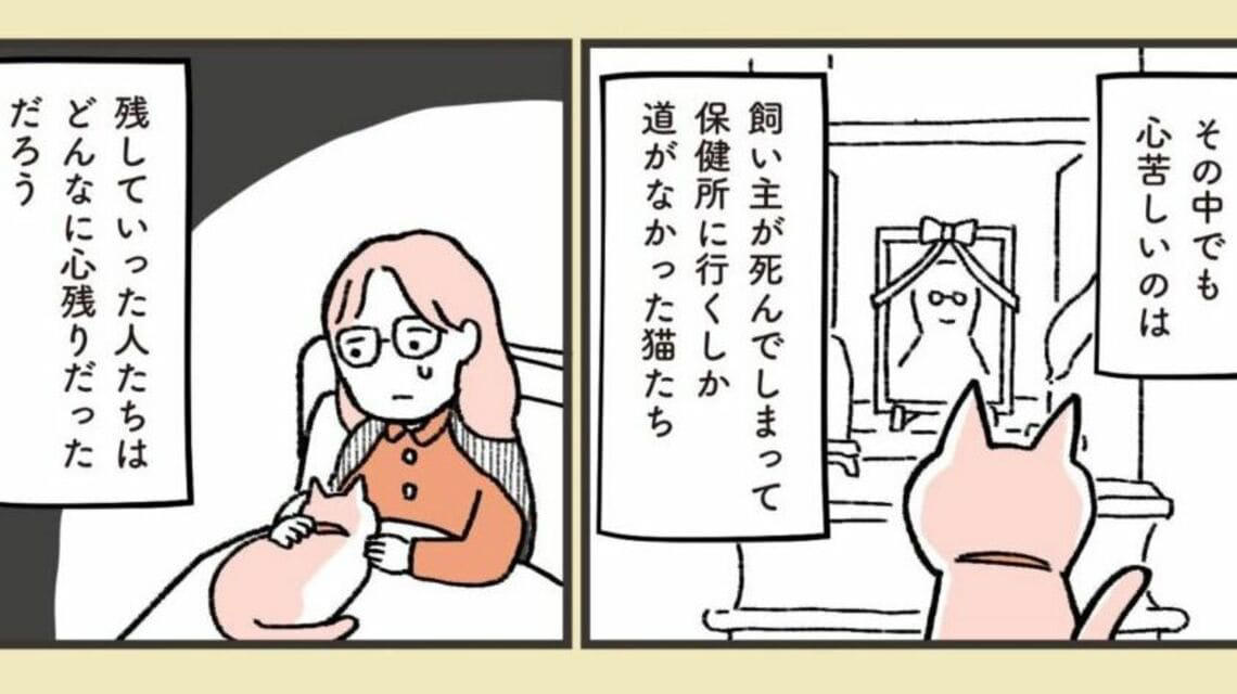 どこで出会えるか？, どういう仕組み？, 所有権放棄で保健所に持ち込まれる猫たち…, 高齢者への認知度アップが課題, 猫問題の根幹には人の問題がある