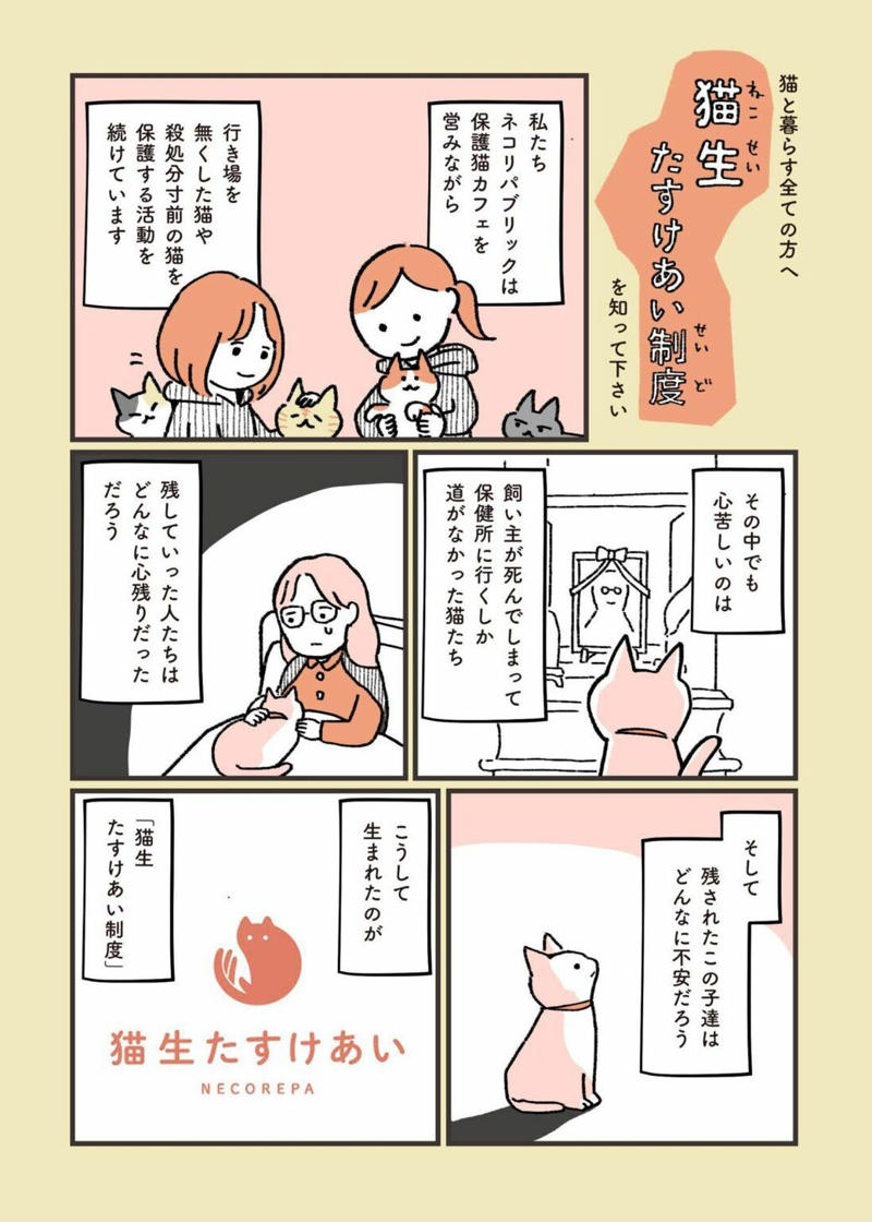 どこで出会えるか？, どういう仕組み？, 所有権放棄で保健所に持ち込まれる猫たち…, 高齢者への認知度アップが課題, 猫問題の根幹には人の問題がある
