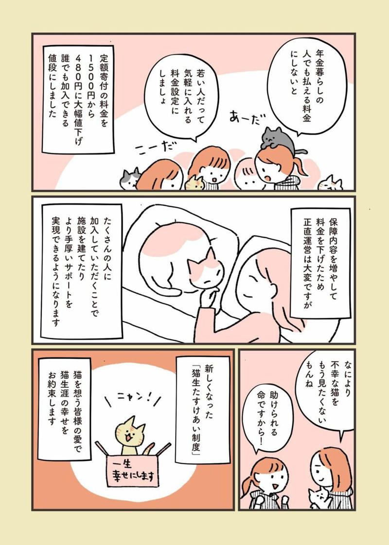 どこで出会えるか？, どういう仕組み？, 所有権放棄で保健所に持ち込まれる猫たち…, 高齢者への認知度アップが課題, 猫問題の根幹には人の問題がある
