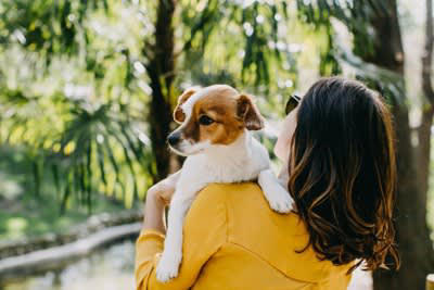 犬の『抱っこ』でやってはいけない絶対NG行為４選, 1.脇の下に手を入れて抱き上げる, 2.肩に乗せるように縦抱きする, 3.仰向け状態で横抱きする, 4.首根っこを掴んで持ち上げる, 犬の体に負担がかからない抱き方とは, 小型〜中型犬の抱っこ, 中型〜大型犬の抱っこ