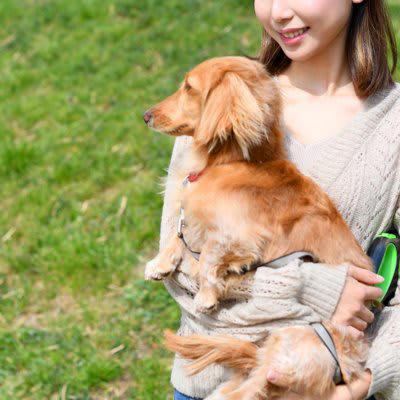 犬の『抱っこ』でやってはいけない絶対NG行為４選, 1.脇の下に手を入れて抱き上げる, 2.肩に乗せるように縦抱きする, 3.仰向け状態で横抱きする, 4.首根っこを掴んで持ち上げる, 犬の体に負担がかからない抱き方とは, 小型〜中型犬の抱っこ, 中型〜大型犬の抱っこ