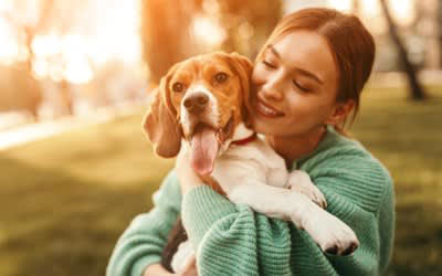 犬の『抱っこ』でやってはいけない絶対NG行為４選, 1.脇の下に手を入れて抱き上げる, 2.肩に乗せるように縦抱きする, 3.仰向け状態で横抱きする, 4.首根っこを掴んで持ち上げる, 犬の体に負担がかからない抱き方とは, 小型〜中型犬の抱っこ, 中型〜大型犬の抱っこ