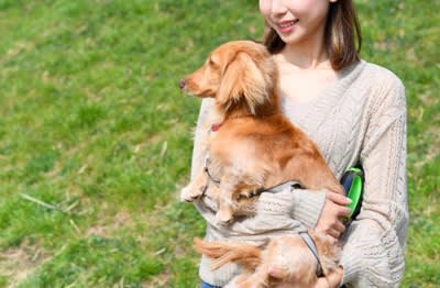 犬の『抱っこ』でやってはいけない絶対NG行為４選, 1.脇の下に手を入れて抱き上げる, 2.肩に乗せるように縦抱きする, 3.仰向け状態で横抱きする, 4.首根っこを掴んで持ち上げる, 犬の体に負担がかからない抱き方とは, 小型〜中型犬の抱っこ, 中型〜大型犬の抱っこ