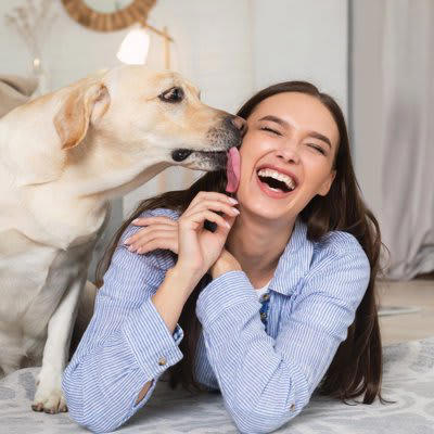 犬がみせる『愛してる』サイン5選, 1.アイコンタクトをとろうとする, 2.体を寄せてくる, 3.顔や口元を舐める, 4.おしりをくっつけて座る, 5.お出迎えをする, 飼い主から愛犬にすべき愛情表現とは？