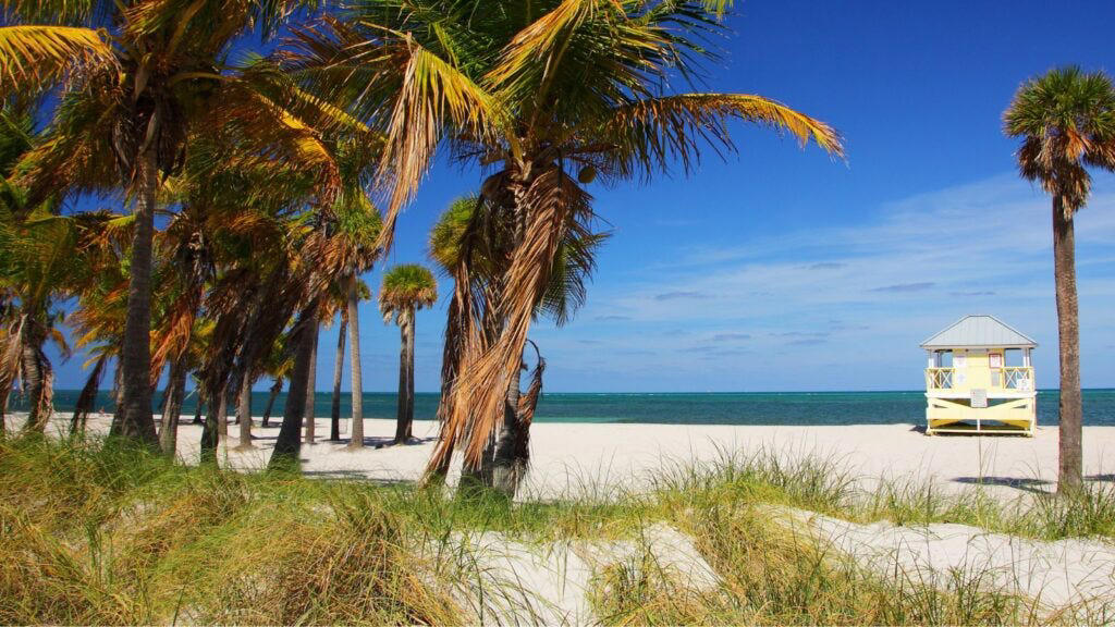 1. Clearwater Beach, 2. Siesta Beach, 3. Cocoa Beach Pier, 4. Anastasia State Park Beach, 5. Stuart Beach, 6. Red Reef Park, 7. Manatee Public Beach, 8. Fort De Soto Park, 9. Deerfield Beach, 10. Hollywood Beach, 11. Crandon Park Beach, 12. Clam Pass Park Beach, 13. Grayton Beach State Park, 14. Russell-Fields City Pier and Beach