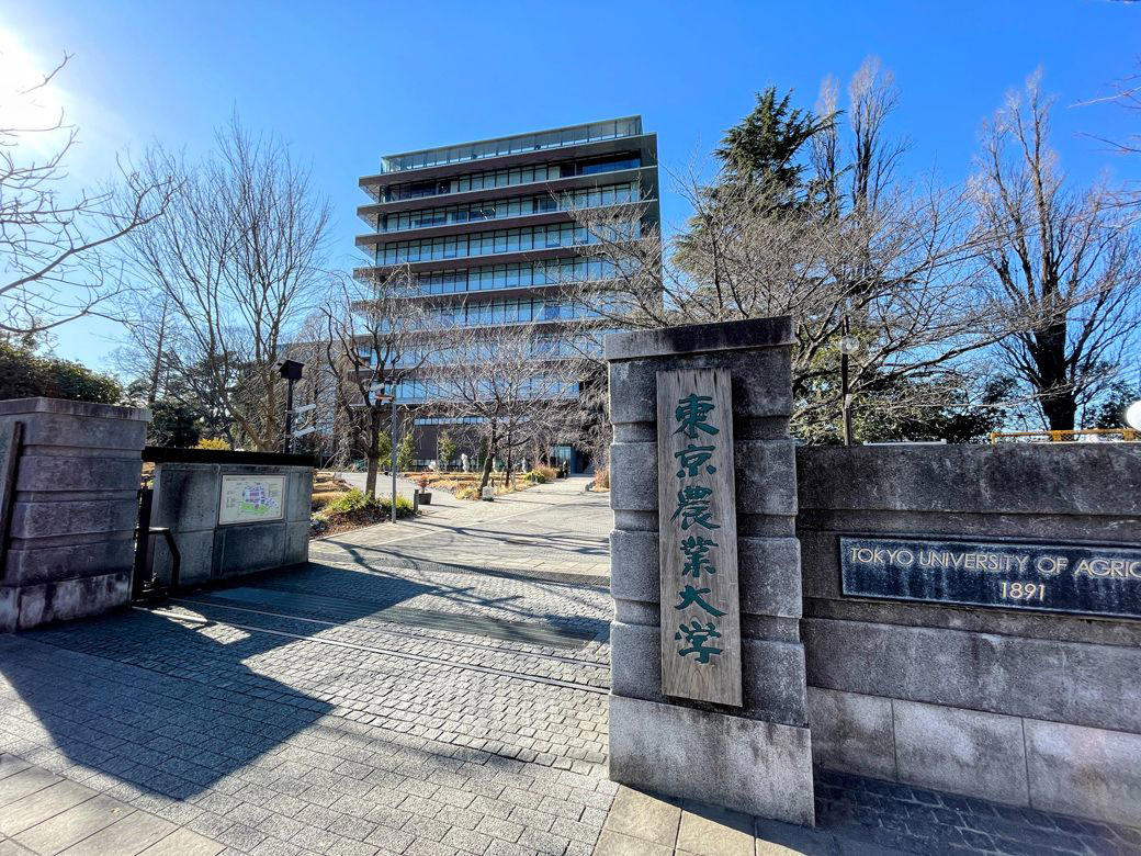 街に住む宗教学者の「経堂愛」, 「経堂迷路」を通り抜けた先に, 生協の売店は見ているだけで楽しい, 経堂はいい意味で「中途半端な街」, 飲食店のレベルが高い理由, 「水曜定休のお店を選ぶといい」, 学生に優しい家賃