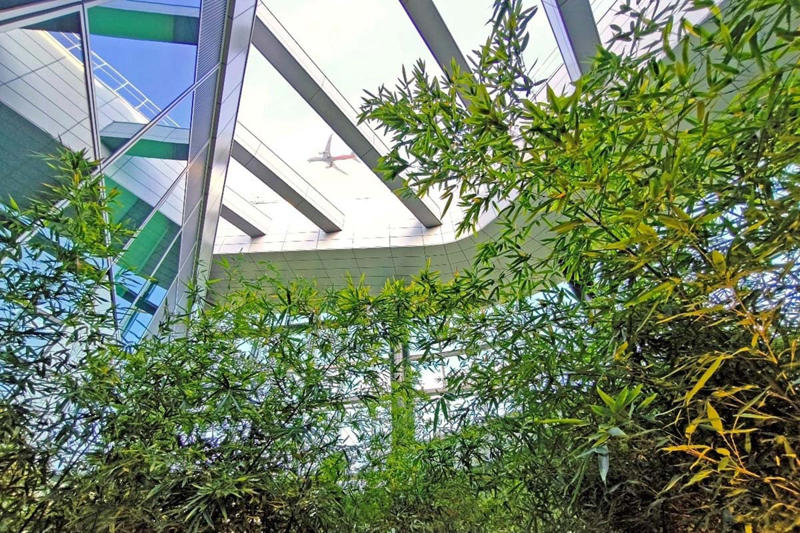 JRが生んだ新しい街に体験型の無料展望台, 500本の植物と音響が包む地上150mの森, 眼下に広がる「鉄道たちが織りなす風景」, 大阪・淀屋橋に誕生した「滞在型」展望台, 1000円で楽しむ水都の夜景, 大正期の三越から始まった「展望の価値」, バブル崩壊後、相次いだ展望施設の閉鎖, 外国人観光客が再発見した「展望の価値」, 「展望+α」が生む街全体の価値向上
