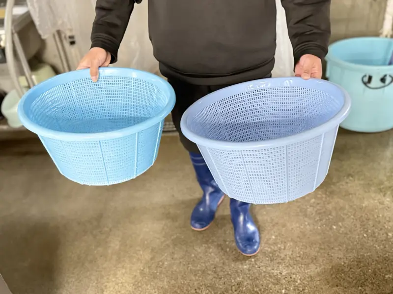 ふわふわ朝どれの釜揚げしらす（小 600円・大 1,200円）, 太鼓判を押す「しらす×レモン」, 洋風の愉しみ「しらすチーズトースト」, 130年の時を受け継ぐ想い, 疲労も吹き飛ぶ、大漁の歓喜
