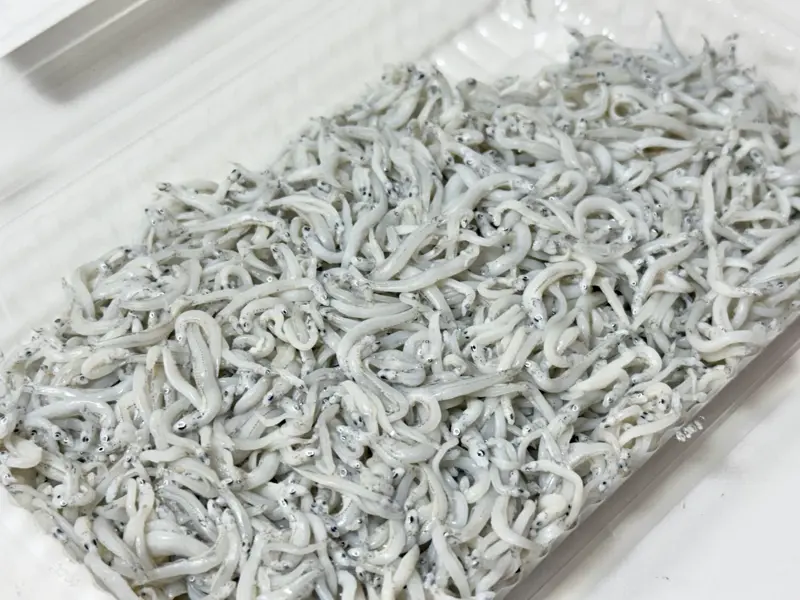 ふわふわ朝どれの釜揚げしらす（小 600円・大 1,200円）, 太鼓判を押す「しらす×レモン」, 洋風の愉しみ「しらすチーズトースト」, 130年の時を受け継ぐ想い, 疲労も吹き飛ぶ、大漁の歓喜