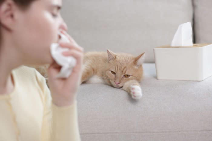 1.鋭い爪や牙でケガをすることがある, 2.感染症を持っていることがある, 3.アレルギーを発症することがある, 猫との暮らしで気をつけたいこと
