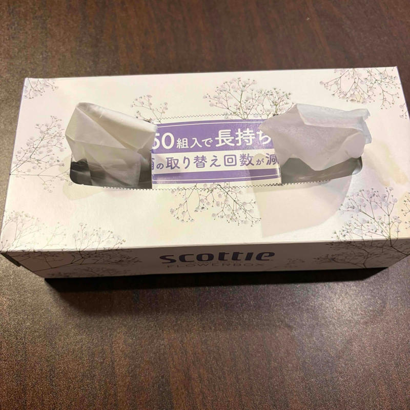 【1】箱の横部分を片側だけ開け、ティッシュを取り出す, 【2】ティッシュを半分に切る, 【3】ティッシュを箱に戻し、横部分をセロテープで留める, 【4】ティッシュの取り出し口の左右3分の1ずつを切り取る, 【5】両方の口からティッシュを出して完成