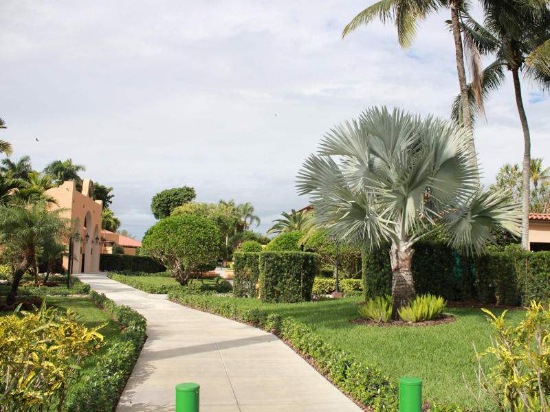 For many, the Biltmore's golf courses are the real highlight of the property. Today, the hotel is loved by high-profile figures., Inside, the hotel has kept its original, century-old lobby., The lobby decorations match the hotel's historic, elevated vibe., The lobby also serves as a dining area for afternoon tea., Downstairs, the hotel's Fontana restaurant partially sits in an open-air courtyard., Fontana serves Italian-inspired dishes., Brandi's, the hotel's dark, moody bar, draws inspiration from the Biltmore's past., At the 600-gallon pool, there's poolside dining and nine private cabanas., The Biltmore's clubhouse is the center of events at the property., Next to the course are spaces for relaxing and socializing., Tucked in the clubhouse, there's also a members-only lounge.