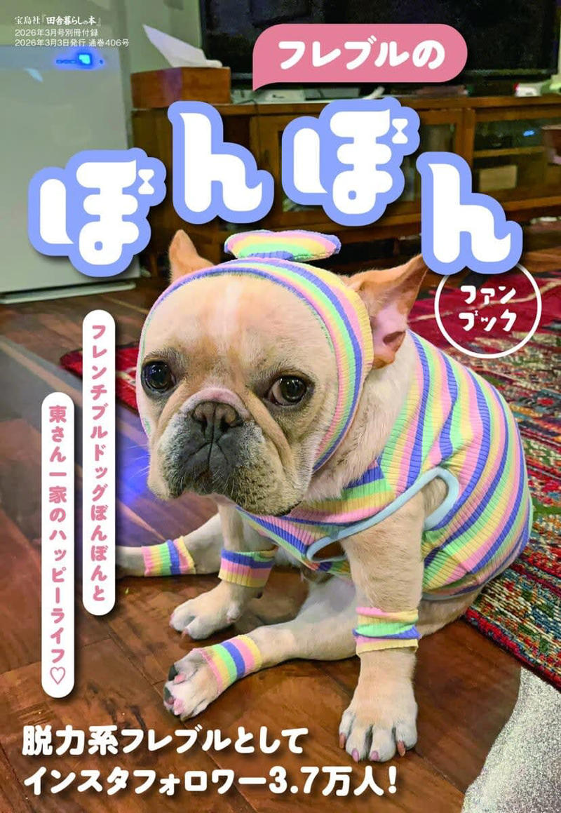 田舎暮らしの本 3月号 巻頭特集, 移住したい都道府県ランキング20年連続1位長野県を徹底解剖！, 現地を知り、移住に近づく お試し田舎暮らし, 都会に近い300万円以下の家, フレブルのぼんぼん ファンブック