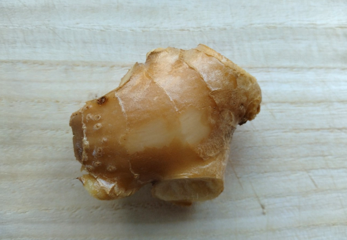 ショウガは乾燥しやすい食材, 水に浸して冷蔵保存する方法, 水に浸した場合と浸さない場合を比較, ちょっとした工夫で乾燥対策に