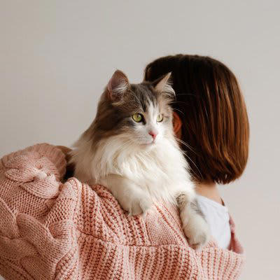猫が飼い主を判別する3つのポイント, 1.声で判別する, 2.ニオイで判別する, 3.シルエットなどの特徴的な外見から判別する, 猫は飼い主の外見が違ってもわかる？