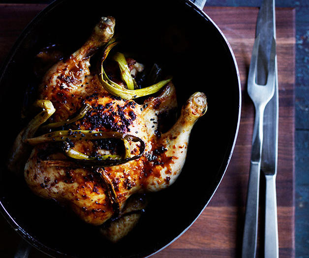          Sean Moran’s famous roast chicken with bread sauce      ,          Yoghurt roast chicken      ,          Roast chicken with preserved lemon and herbs      ,          Roasted harissa apricot chicken with almond and herb couscous      ,          Epocha’s roast chicken, braised Savoy cabbage, prune and butter sauce      ,          Za’atar roast chicken with pilaf, pomegranate and nuts      ,          Pan-roasted chicken with artichokes and salad onion      ,          Roast chicken thighs with sourdough panzanella      ,          Roast chicken with anchovy butter and greens      ,          Roast chicken with tarragon butter and Dutch carrots      ,          Matt Moran’s chicken roasted in spiced hay with lemon stuffing      ,          Nonna’s rice-stuffed chicken by Matteo Tine      ,          Paprika roast chicken with chorizo and white beans      