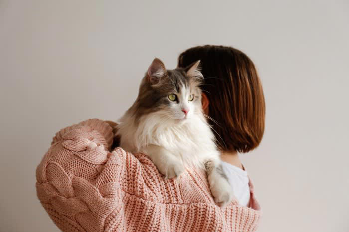 猫が飼い主を判別する3つのポイント, 1.声で判別する, 2.ニオイで判別する, 3.シルエットなどの特徴的な外見から判別する, 猫は飼い主の外見が違ってもわかる？