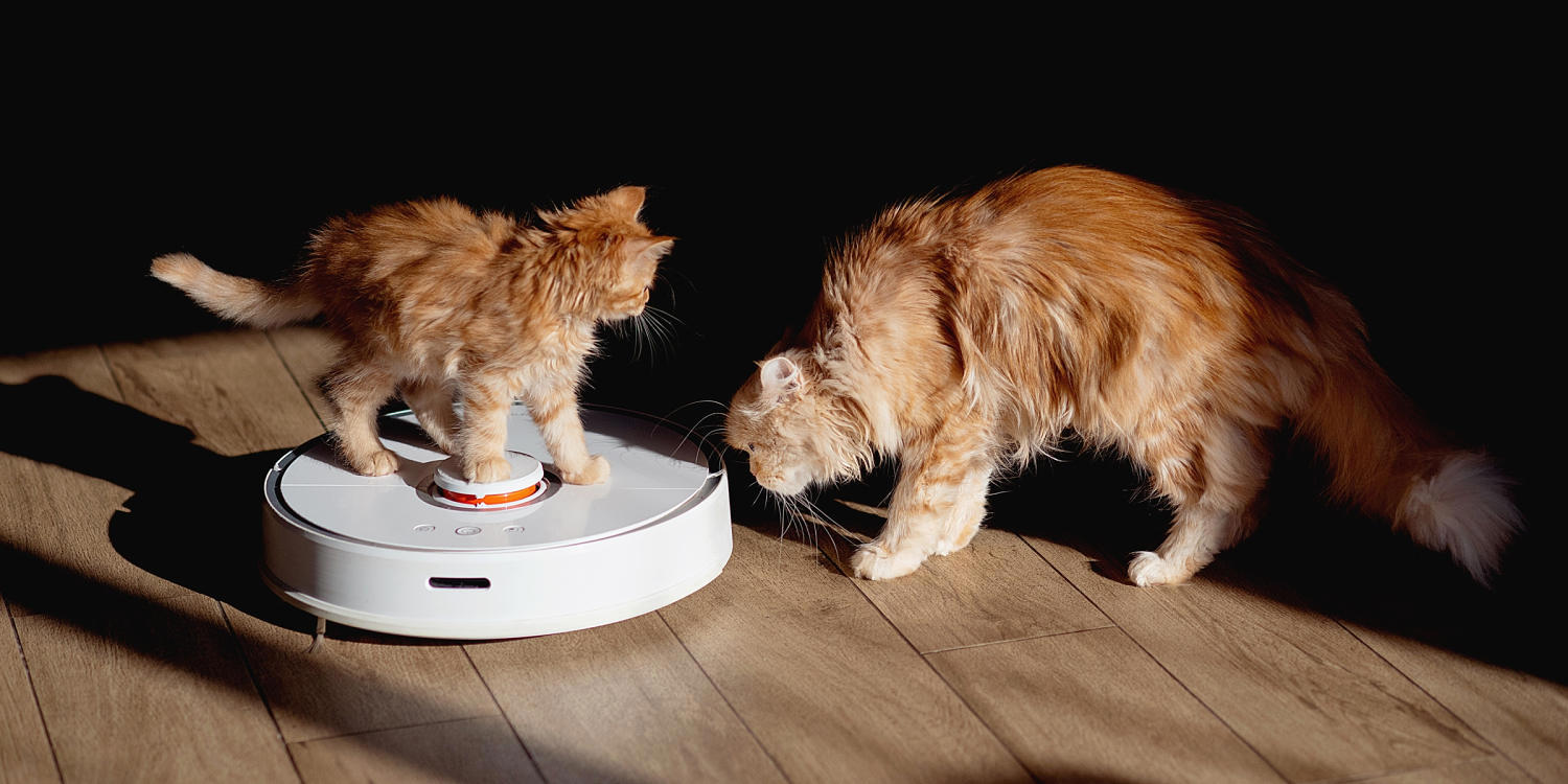 How I picked the best vacuums for pet hair, The best vacuums for pet hair in 2026, How to shop for pet hair vacuums, Frequently asked questions, Meet our experts, Why trust NBC Select?