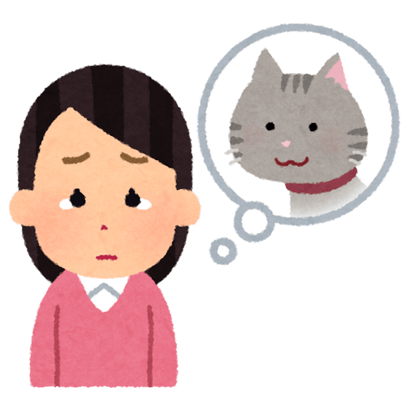 猫を「外」に連れ出す企画はやめて, 2度と会えない別れになることも, 逸走した猫の末路「野良猫」, 「猫」コンテンツはビジネスになる？