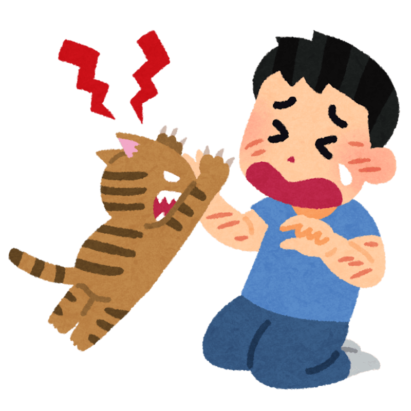 猫を「外」に連れ出す企画はやめて, 2度と会えない別れになることも, 逸走した猫の末路「野良猫」, 「猫」コンテンツはビジネスになる？