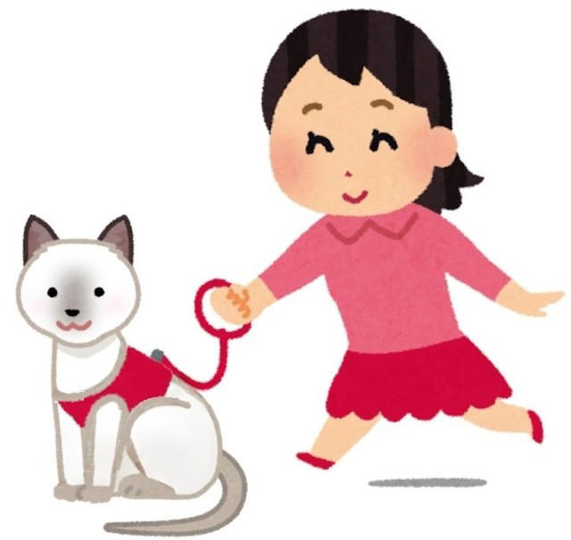 猫を「外」に連れ出す企画はやめて, 2度と会えない別れになることも, 逸走した猫の末路「野良猫」, 「猫」コンテンツはビジネスになる？