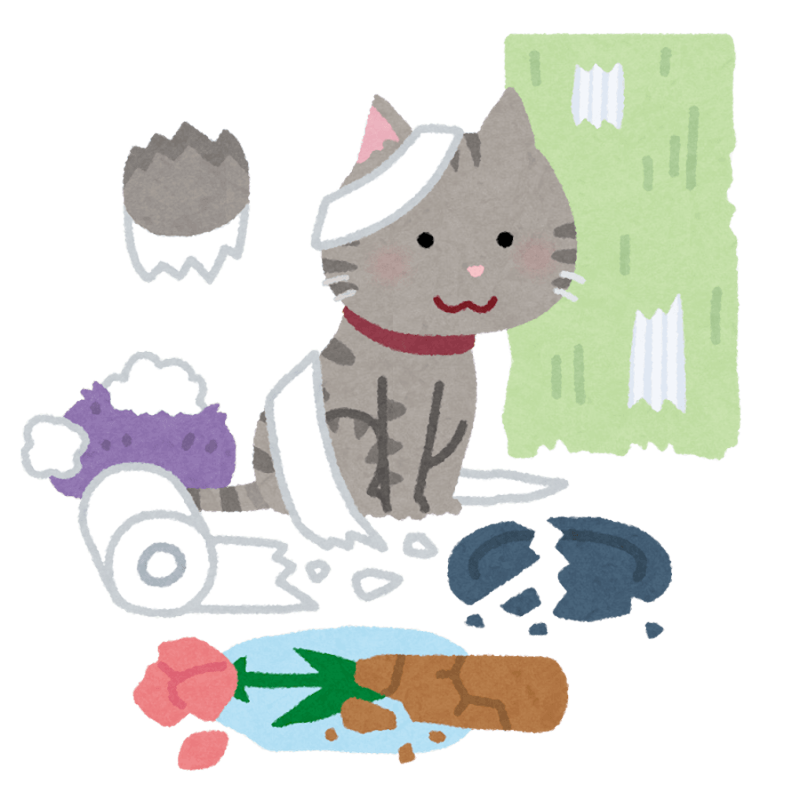 猫を「外」に連れ出す企画はやめて, 2度と会えない別れになることも, 逸走した猫の末路「野良猫」, 「猫」コンテンツはビジネスになる？