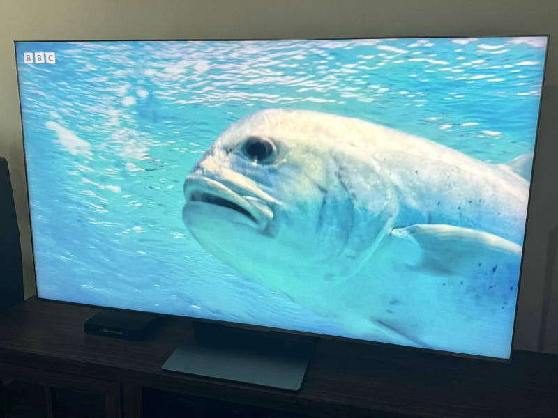 Our top picks for the best 75-inch and 77-inch TVs, Best overall, Best on a budget, Best for picture quality, Best for high brightness, Best anti-glare model, How we test 75-inch TVs, Meet the expert behind this guide:, 75-inch TV FAQs