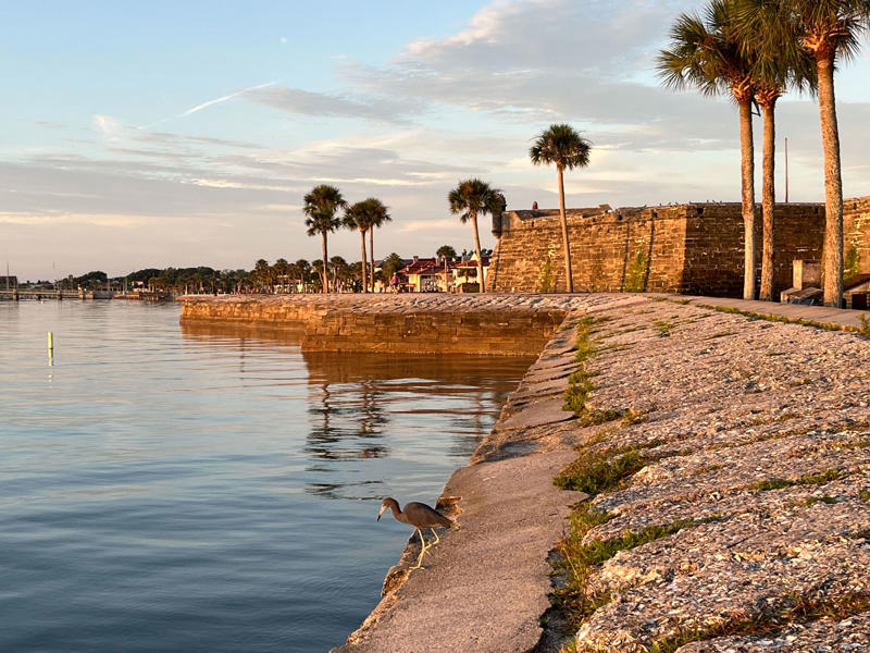 St. Petersburg — for the culture lover who still wants the beach, Jacksonville — for the urbanite who loves to hike on the weekends, Santa Rosa Beach — where every day feels like a vacation, St. Augustine — for the history buff who wants it all, Miami — for the design aficionado, Fort Myers — for the nature lover, Panama City — where small-town vibe meets big art scene, Pensacola — for the history nerd who also loves to scuba dive, Sarasota — where you can run away to the circus
