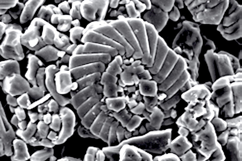 二酸化炭素濃度の上昇が与えた生物への影響, 大量絶滅と大陸分裂後の生物大繁栄, 無数の円石藻が浮遊する海, ジュラ紀の海に大繁栄…三畳紀末の大量絶滅を逃れたアンモナイト, 三畳紀末の大量絶滅後の陸上, 地上を支配した恐竜, そして、ジュラ紀から白亜紀へ