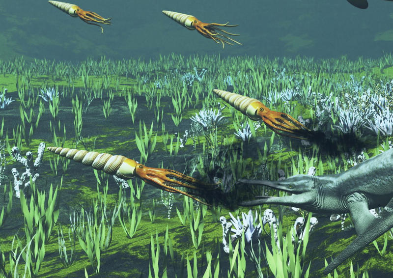 二酸化炭素濃度の上昇が与えた生物への影響, 大量絶滅と大陸分裂後の生物大繁栄, 無数の円石藻が浮遊する海, ジュラ紀の海に大繁栄…三畳紀末の大量絶滅を逃れたアンモナイト, 三畳紀末の大量絶滅後の陸上, 地上を支配した恐竜, そして、ジュラ紀から白亜紀へ