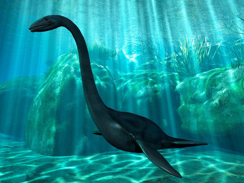 二酸化炭素濃度の上昇が与えた生物への影響, 大量絶滅と大陸分裂後の生物大繁栄, 無数の円石藻が浮遊する海, ジュラ紀の海に大繁栄…三畳紀末の大量絶滅を逃れたアンモナイト, 三畳紀末の大量絶滅後の陸上, 地上を支配した恐竜, そして、ジュラ紀から白亜紀へ
