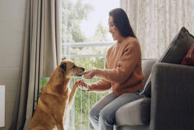 犬が『尊敬している人』にしか見せないサイン, 名前を呼ぶと来る, お尻をくっつける, 無理な要求をしない, 不安なときに助けを求める, 犬から尊敬されるために, 一貫した態度をとる, 褒めるときと叱るときのメリハリをつける, 距離感を縮めすぎない