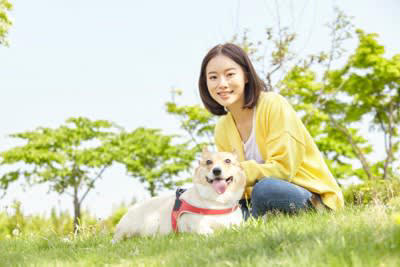犬が言うことを聞かなくなる主な原因5つ, 1.指示やルールが一貫していない, 2.叱るタイミングがズレている, 3.吠えや要求に応じすぎている, 4.運動不足・刺激不足, 5.飼い主との信頼関係が揺らいでいる, わがままな性格にさせてしまうタブー行為, 指示に従わなくても放置してしまう, 吠えれば要求が通る状況を作る, 家族間でしつけルールがバラバラ