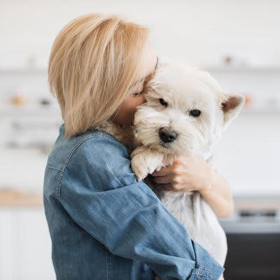 犬にとってストレスな飼い主の行動, 1.気分や都合によって態度が変わること, 2.感情的になって怒鳴ること, 3.スキンシップを強要すること, 4.お散歩がやっつけ作業になっていること, 愛犬に精神的負担をかけないための心得