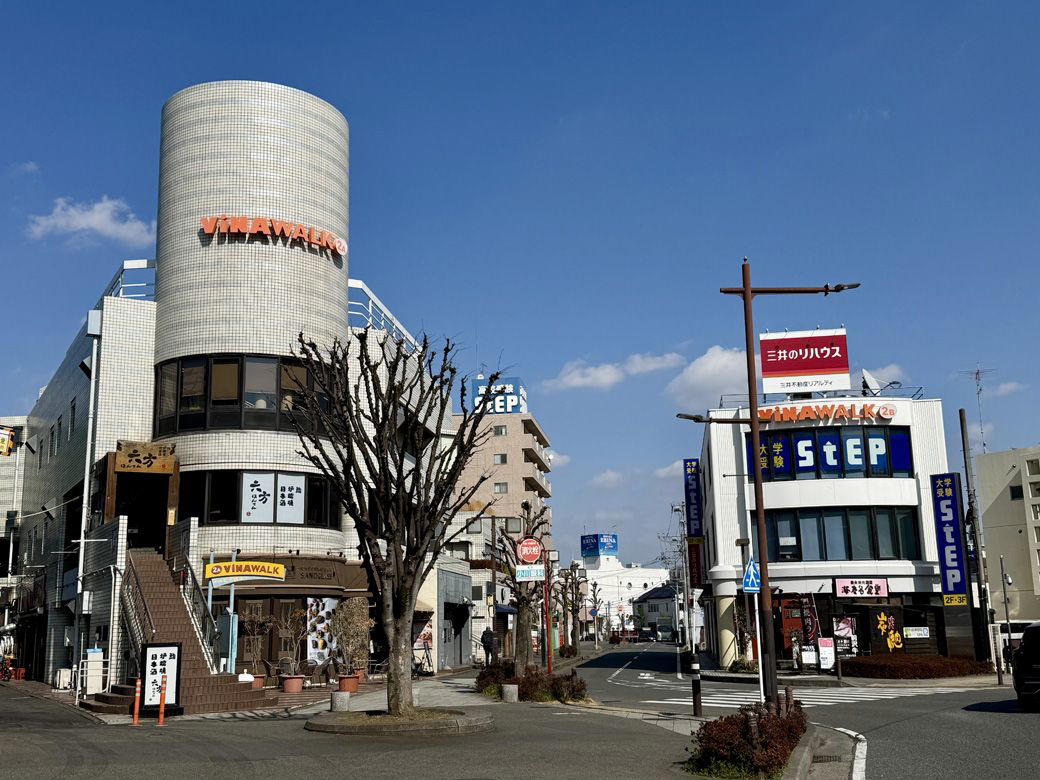 海老名を変えた唯一無二の商業施設, 幅広いテナントが集積し賑わう, 県央の新たな商業都市へ, ビナウォークができたからこそ街が変わった, まさに商業施設が街を変えた
